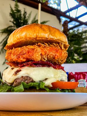 imagem do produto Burguer Cacto 2.0