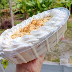 imagem do produto Pavê Tradicional - TRAVESSA G SERVE 10 PESSOAS
