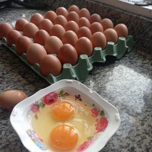 imagem do produto Ovos caipira 