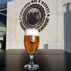 imagem do produto IPA