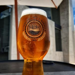 imagem do produto IPA 