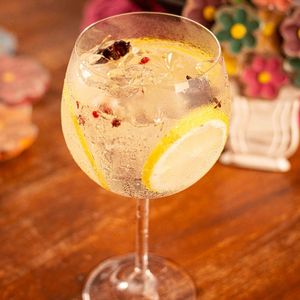 imagem do produto Gin tônica 