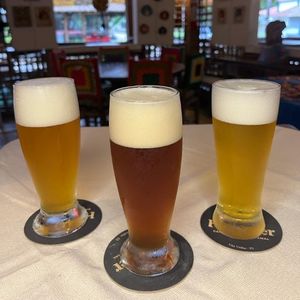 imagem do produto Chopp artesanal IPA, RED ou WHiTE IPA 300ml
