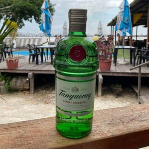 imagem do produto GIN (GARRAFA) 