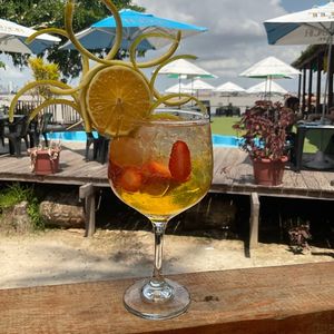 imagem do produto TROPICAL GIN 