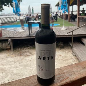 imagem do produto VINHO 