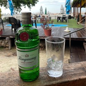 imagem do produto GIN (DOSE) 