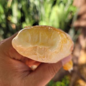 imagem do produto Geladinho Pudim