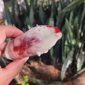 imagem do produto Geladinho Ninho com Geleia de Morango