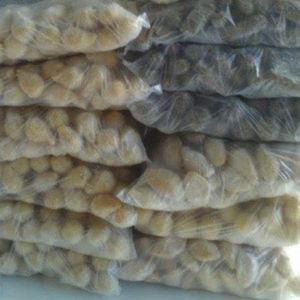 imagem do produto 100 mini salgadinhos congelados sortidos 