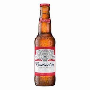 imagem do produto Long Neck Budweiser