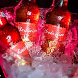 imagem do produto Balde de 5 Long Neck Budweiser