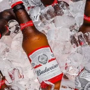 imagem do produto Cerveja Budweiser