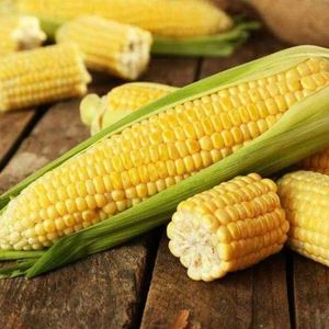 imagem do produto 50g Milho Verde