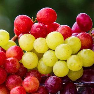 imagem do produto 6un uva