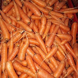 imagem do produto Cenoura