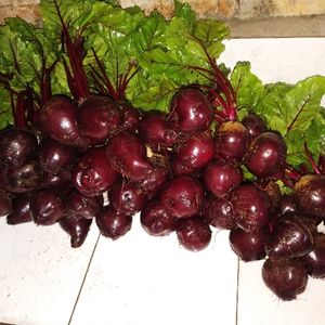 imagem do produto Beterraba