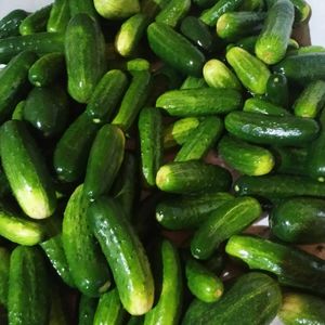 imagem do produto Pepino salada