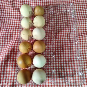 imagem do produto Ovos