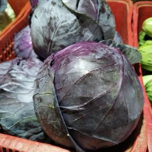 imagem do produto Repolho roxo