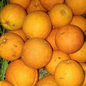 imagem do produto Laranja de umbigo 