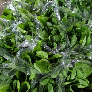 imagem do produto Rúcula