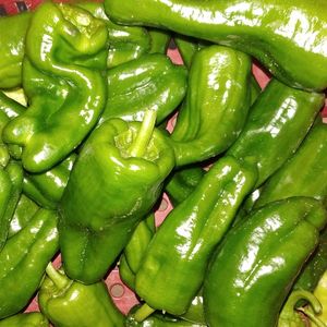 imagem do produto Pimentão verde 