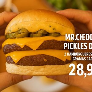 imagem do produto Mr cheddar pickles 2.0