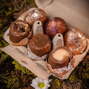 imagem do produto Ovo de galinha de chocolate 