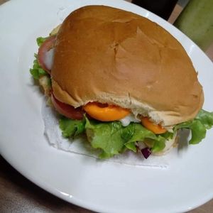 imagem do produto X salada 