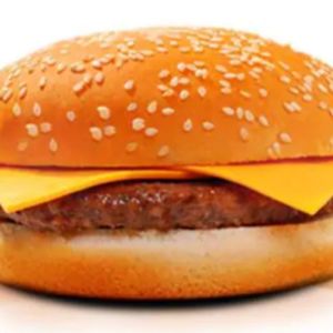 imagem do produto X- burguer tradicional