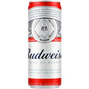 imagem do produto Budweiser Lata Sleek 350ML