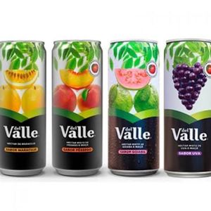 imagem do produto Sucos Dell vale 290 ml