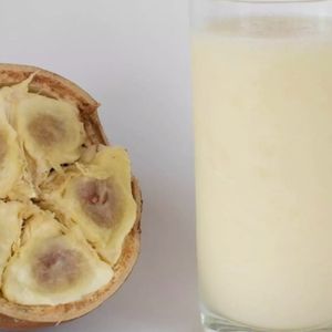 imagem do produto Suco De Cupuaçu 