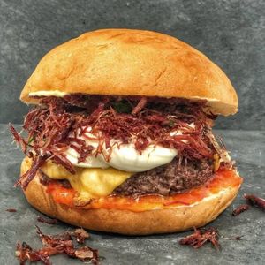 imagem do produto X-Carne De Sol-B