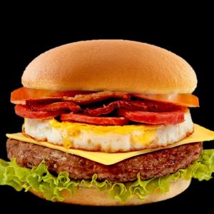 imagem do produto X-Tudo-B