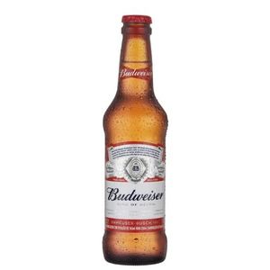 imagem do produto Budweiser Long