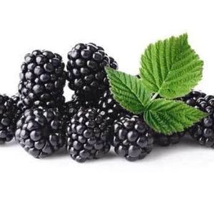 imagem do produto Suco de amora 