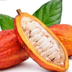 imagem do produto Cacau ao leite
