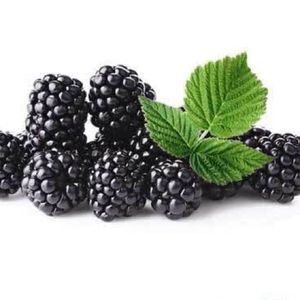 imagem do produto Amora ao leite 