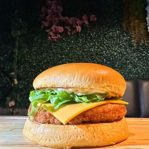 imagem do produto chicken