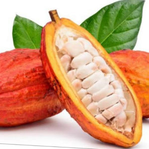 imagem do produto Suco Cacau