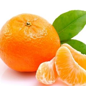 imagem do produto Suco de Tangerina