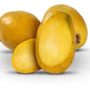 imagem do produto Cajá 