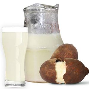 imagem do produto Jarra Cupuaçu 