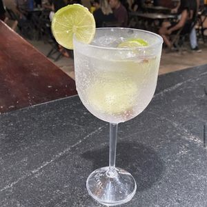 imagem do produto Gin Tônico 