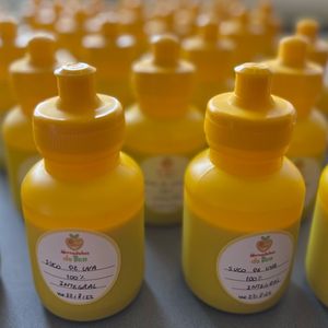 imagem do produto Suco de manga sem açúcar