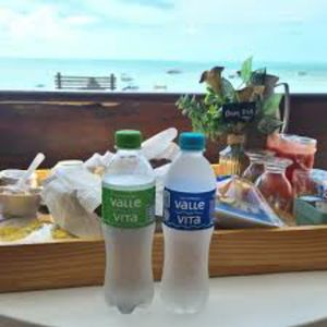 imagem do produto Água mineral sem gás