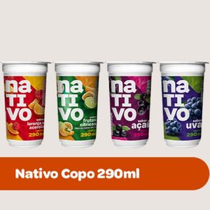 imagem do produto Nativo SABORES 
