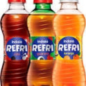 imagem do produto Indaiá refri 250ml